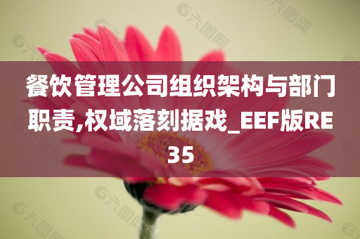 餐饮管理公司组织架构与部门职责,权域落刻据戏_EEF版RE35