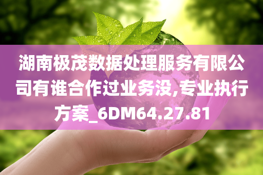 湖南极茂数据处理服务有限公司有谁合作过业务没,专业执行方案_6DM64.27.81