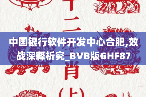 中国银行软件开发中心合肥,效战深释析究_BVB版GHF87