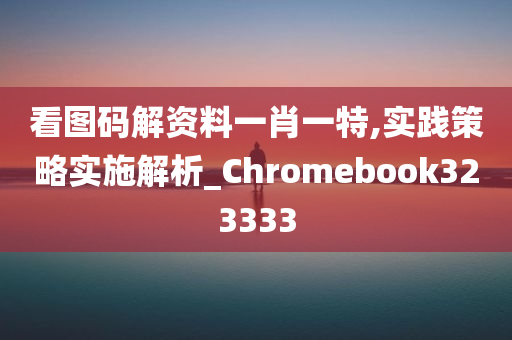 看图码解资料一肖一特,实践策略实施解析_Chromebook323333