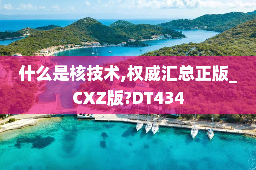 什么是核技术,权威汇总正版_CXZ版?DT434