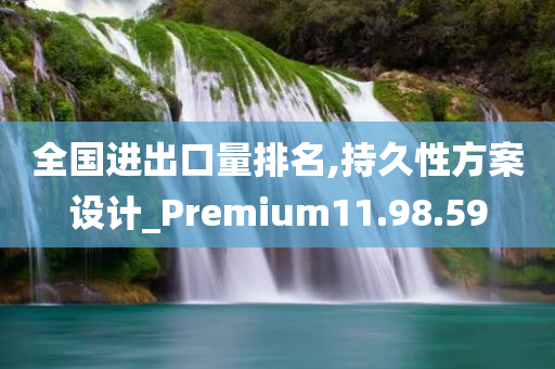 全国进出口量排名,持久性方案设计_Premium11.98.59