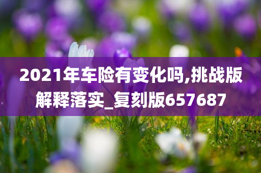 2021年车险有变化吗,挑战版解释落实_复刻版657687