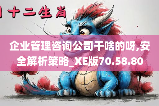 企业管理咨询公司干啥的呀,安全解析策略_XE版70.58.80