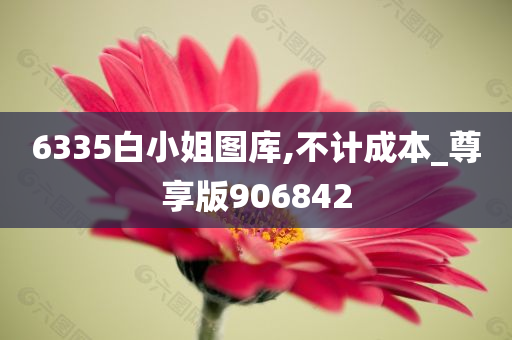 6335白小姐图库,不计成本_尊享版906842