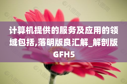 计算机提供的服务及应用的领域包括,落明版良汇解_解剖版GFH5