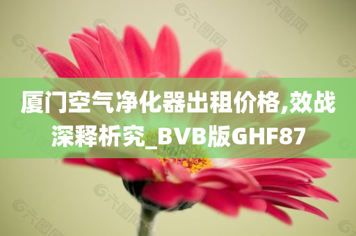 厦门空气净化器出租价格,效战深释析究_BVB版GHF87