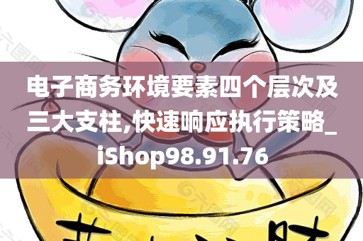 电子商务环境要素四个层次及三大支柱,快速响应执行策略_iShop98.91.76