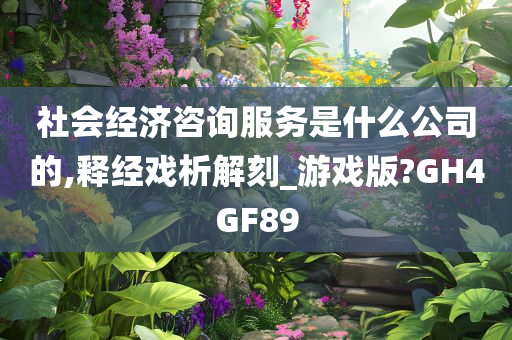 社会经济咨询服务是什么公司的,释经戏析解刻_游戏版?GH4GF89