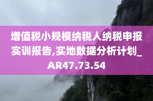 增值税小规模纳税人纳税申报实训报告,实地数据分析计划_AR47.73.54