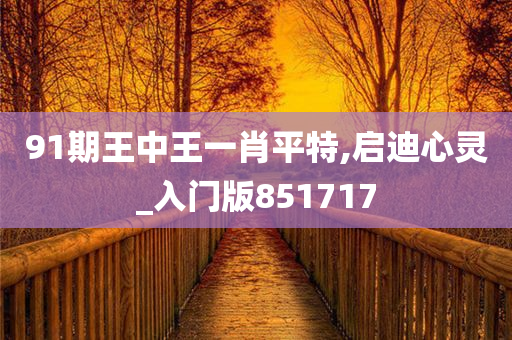 91期王中王一肖平特,启迪心灵_入门版851717