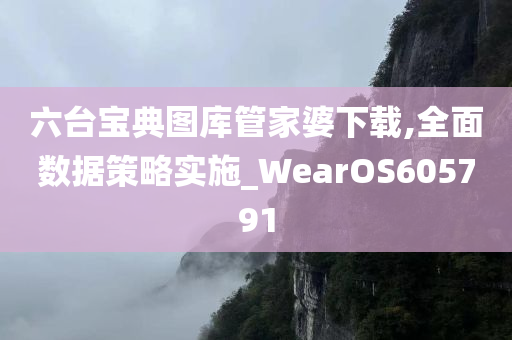 六台宝典图库管家婆下载,全面数据策略实施_WearOS605791