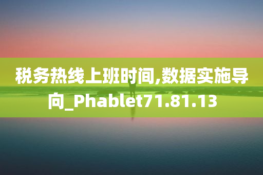 税务热线上班时间,数据实施导向_Phablet71.81.13