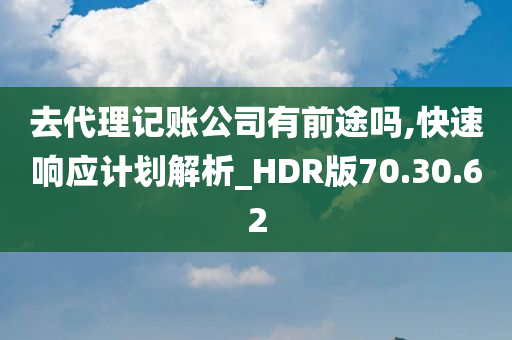 去代理记账公司有前途吗,快速响应计划解析_HDR版70.30.62