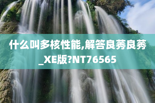 什么叫多核性能,解答良莠良莠_XE版?NT76565