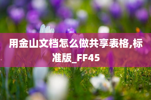 用金山文档怎么做共享表格,标准版_FF45