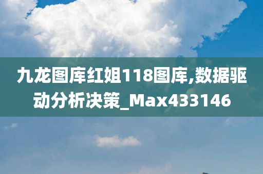 九龙图库红姐118图库,数据驱动分析决策_Max433146