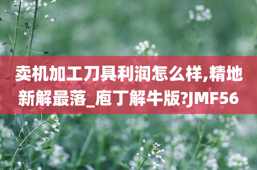 卖机加工刀具利润怎么样,精地新解最落_庖丁解牛版?JMF56