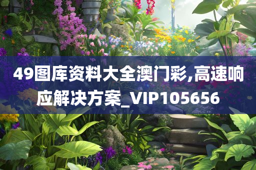 49图库资料大全澳门彩,高速响应解决方案_VIP105656