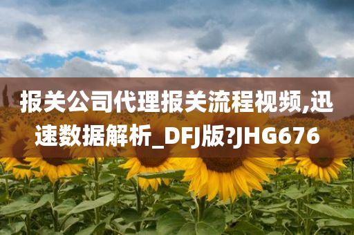 报关公司代理报关流程视频,迅速数据解析_DFJ版?JHG676