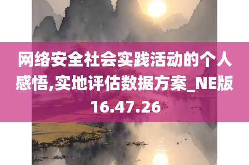 网络安全社会实践活动的个人感悟,实地评估数据方案_NE版16.47.26