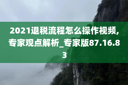 2021退税流程怎么操作视频,专家观点解析_专家版87.16.83