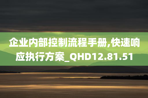 企业内部控制流程手册,快速响应执行方案_QHD12.81.51