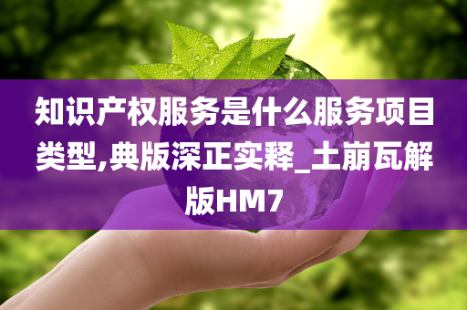 知识产权服务是什么服务项目类型,典版深正实释_土崩瓦解版HM7