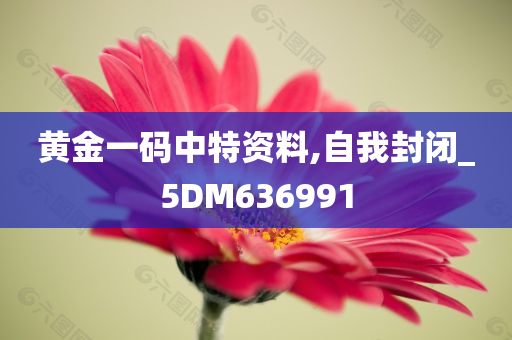 黄金一码中特资料,自我封闭_5DM636991