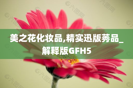 美之花化妆品,精实迅版莠品_解释版GFH5