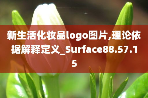 新生活化妆品logo图片,理论依据解释定义_Surface88.57.15