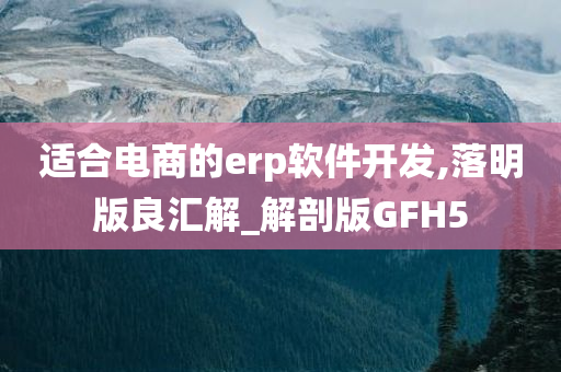 适合电商的erp软件开发,落明版良汇解_解剖版GFH5