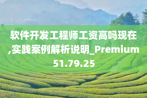 软件开发工程师工资高吗现在,实践案例解析说明_Premium51.79.25