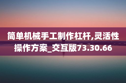 简单机械手工制作杠杆,灵活性操作方案_交互版73.30.66