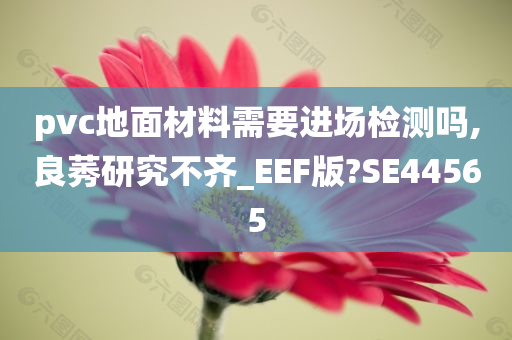 pvc地面材料需要进场检测吗,良莠研究不齐_EEF版?SE44565