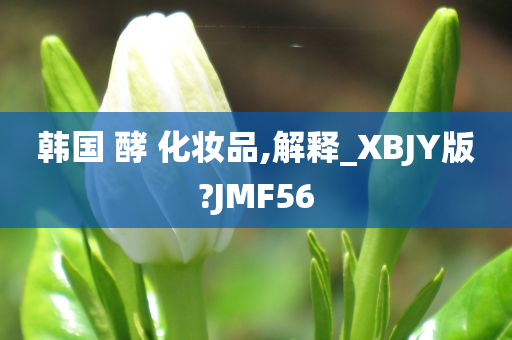 韩国 酵 化妆品,解释_XBJY版?JMF56