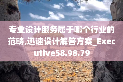 专业设计服务属于哪个行业的范畴,迅速设计解答方案_Executive58.98.79