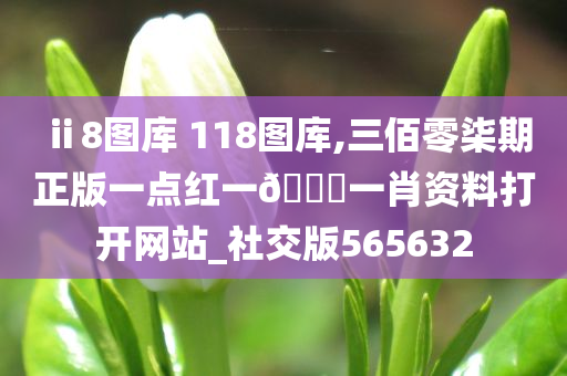 ⅱ8图库 118图库,三佰零柒期正版一点红一🐎一肖资料打开网站_社交版565632