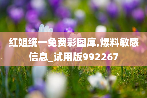 红姐统一免费彩图库,爆料敏感信息_试用版992267