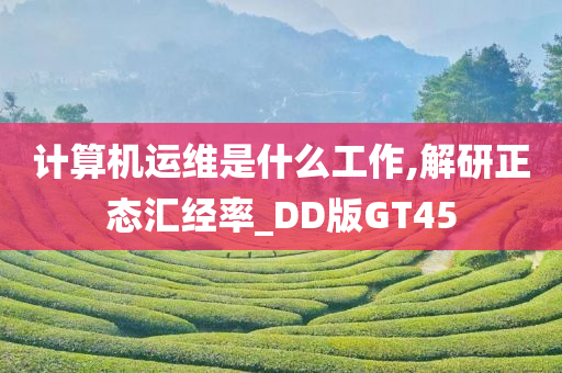 计算机运维是什么工作,解研正态汇经率_DD版GT45