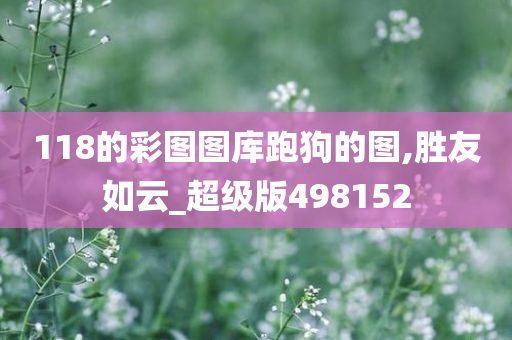 118的彩图图库跑狗的图,胜友如云_超级版498152