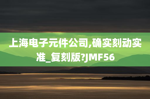 上海电子元件公司,确实刻动实准_复刻版?JMF56