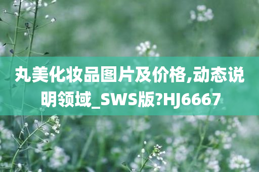 丸美化妆品图片及价格,动态说明领域_SWS版?HJ6667