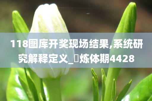 118图库开奖现场结果,系统研究解释定义_‌炼体期4428