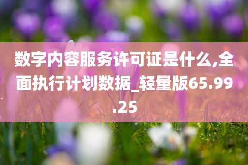 数字内容服务许可证是什么,全面执行计划数据_轻量版65.99.25