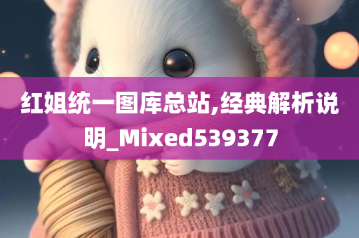 红姐统一图库总站,经典解析说明_Mixed539377