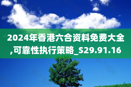 2024年香港六合资料免费大全,可靠性执行策略_S29.91.16