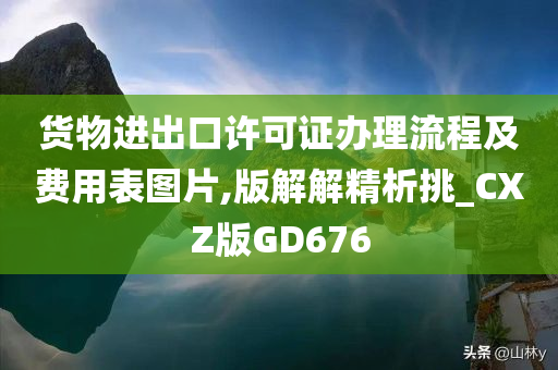 货物进出口许可证办理流程及费用表图片,版解解精析挑_CXZ版GD676