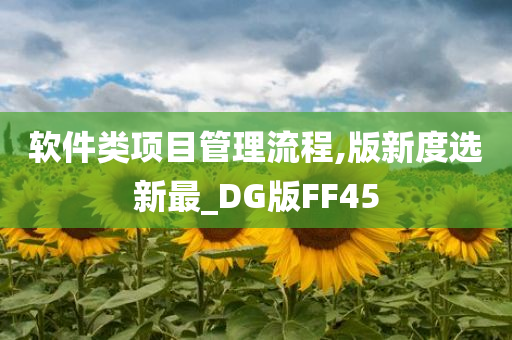 软件类项目管理流程,版新度选新最_DG版FF45