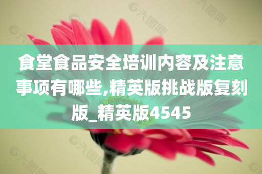 食堂食品安全培训内容及注意事项有哪些,精英版挑战版复刻版_精英版4545